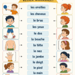 Fiches illustratives des parties du corps pour enfants