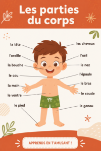Illustration représentant les différentes parties du corps humain, incluant la tête, les bras et les jambes.
