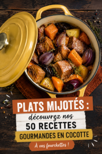 Recette de plats mijotés en cocotte, assiette garnie de légumes et viande