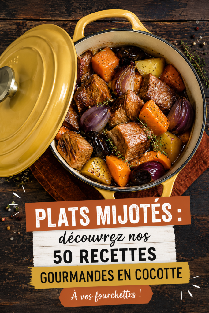 Recette de plats mijotés en cocotte, assiette garnie de légumes et viande