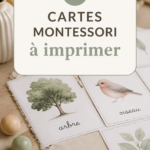 Un ensemble de cartes Montessori colorées prêtes à être imprimées pour l'apprentissage des enfants.