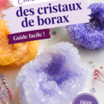 Un exemple de cristaux de borax brillants créés à la maison